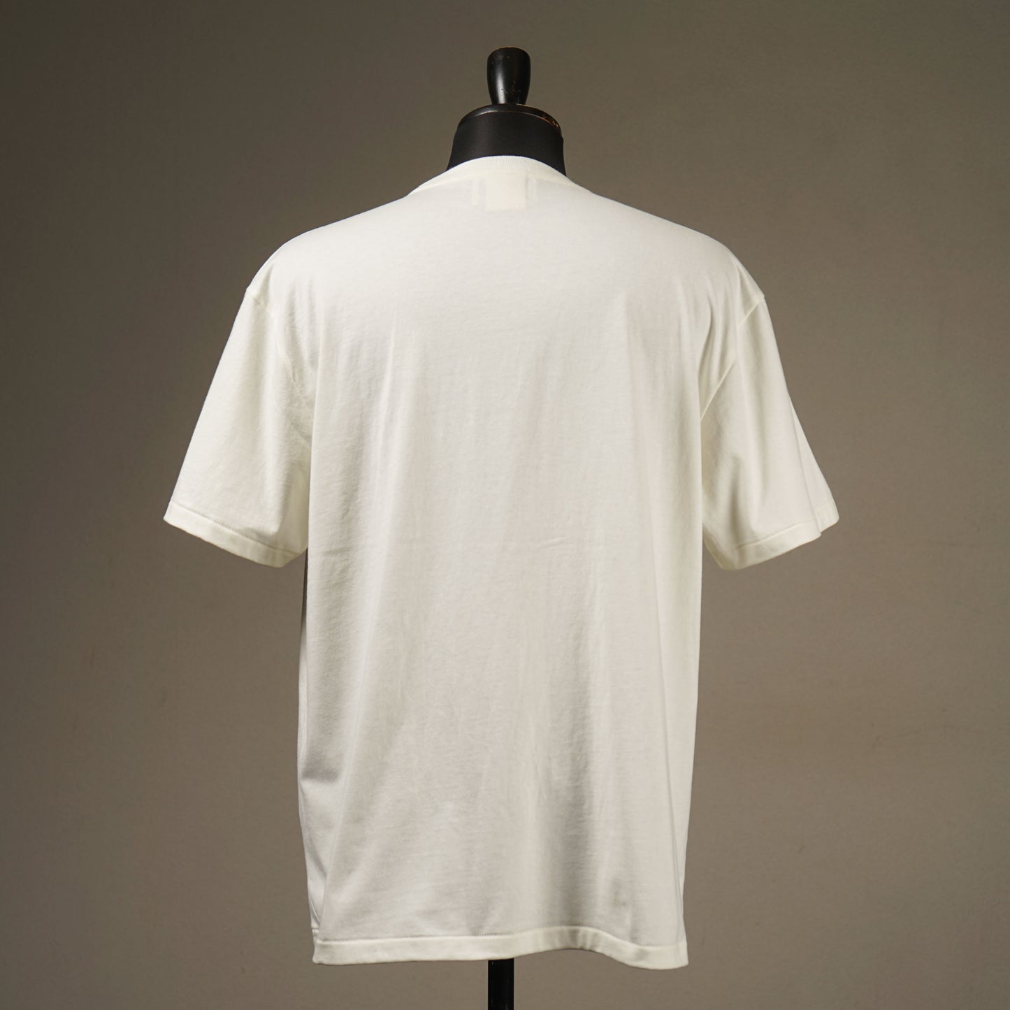 BEACH FINK - S/S T-SHIRTS / WRD5124