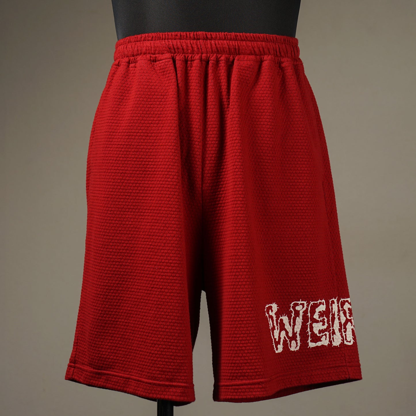 MONSTERS - SHORTS / WRD5118