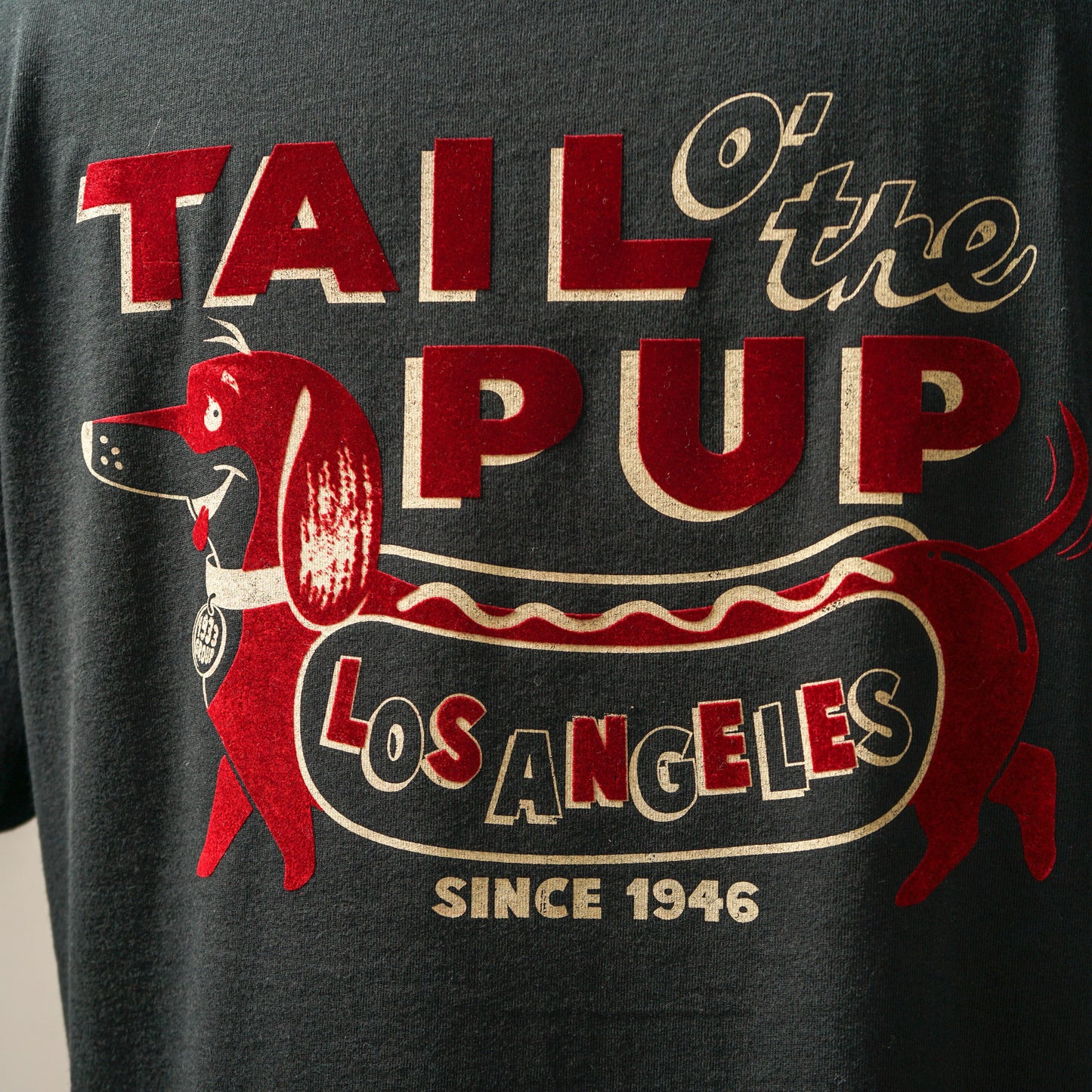 TAIL O' THE PUP - S/S T-SHIRTS / OC-23-SS-16
