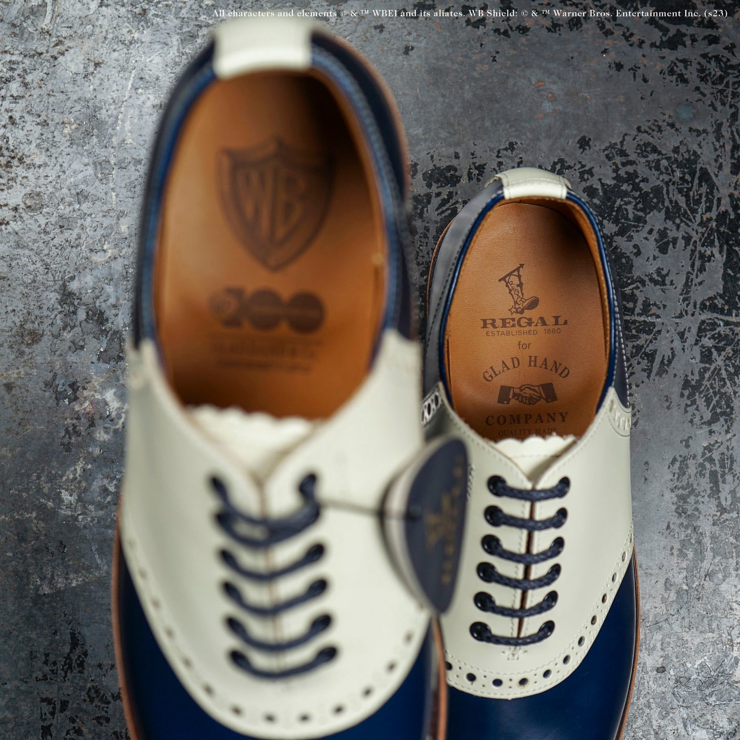 【CORE限定】WARNER BROS. 100TH - SADDLE SHOES