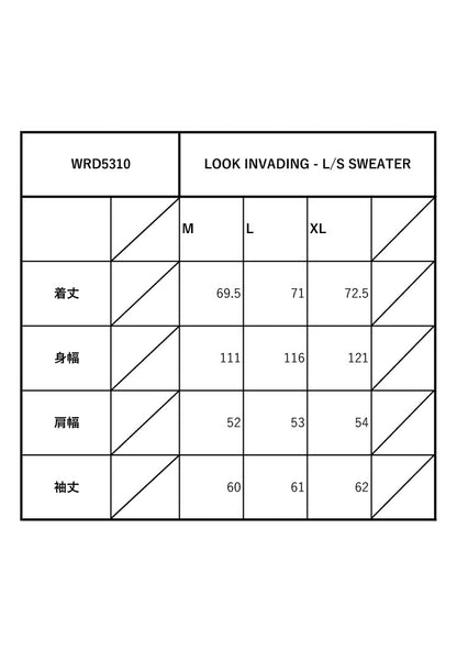 LOOK INVADING - L/S SWEATER / WRD5310